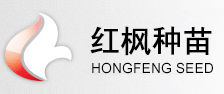 紅楓實(shí)業(yè)